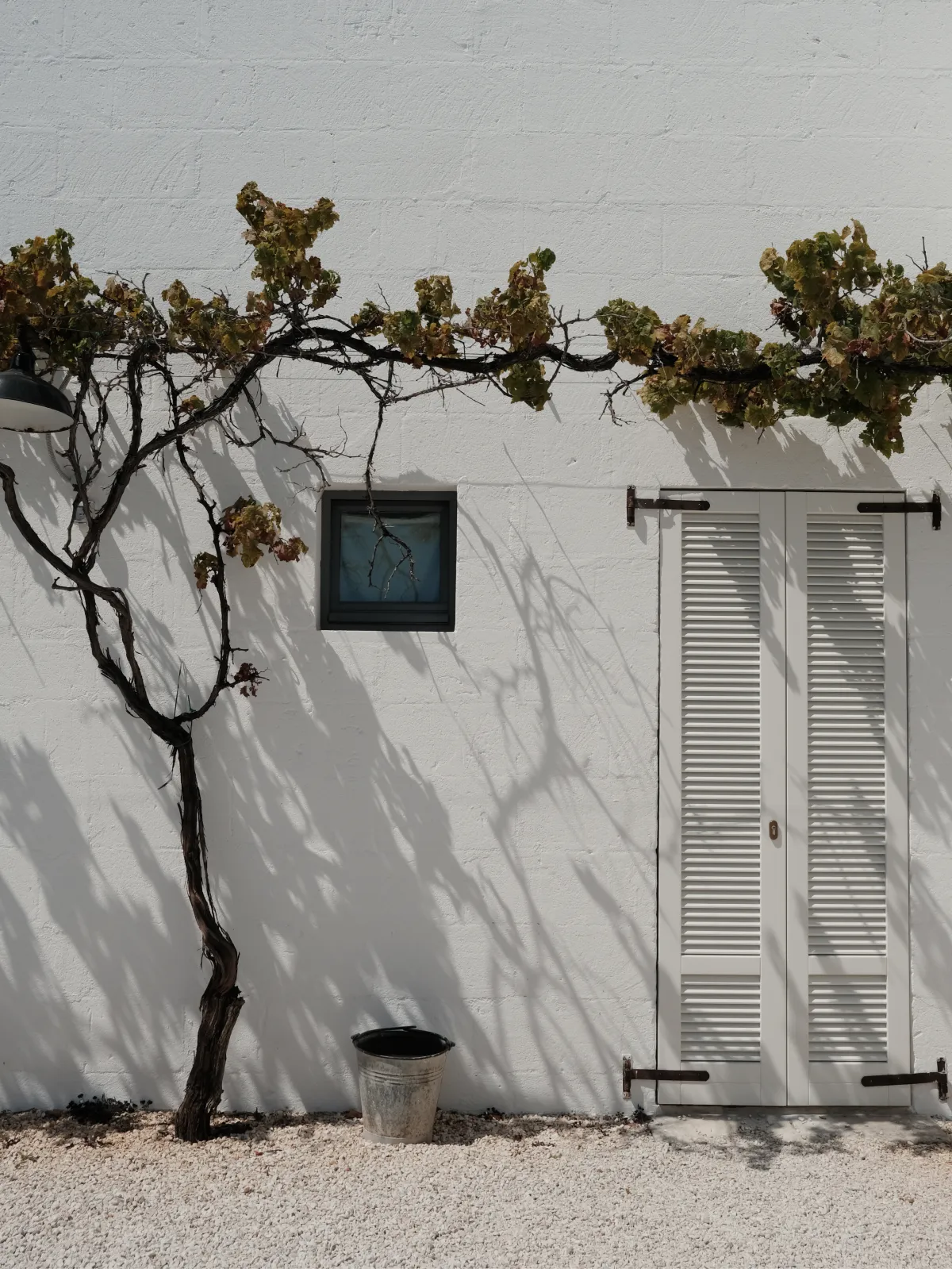 Masseria Moroseta, an Apulian farmhouse among olive groves.